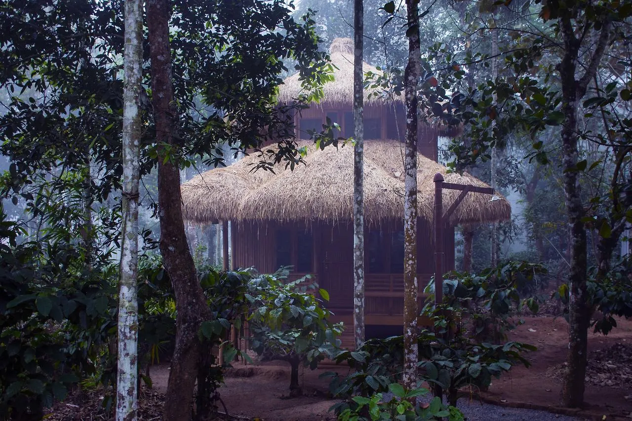 Hotel Wayanad Coffee Mist Resort Ambalavayal