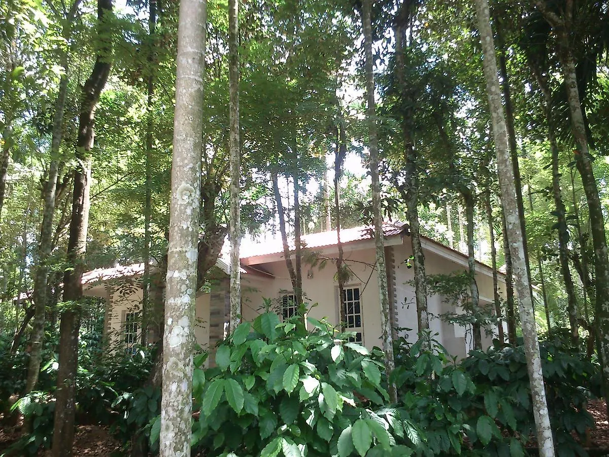 Wayanad Coffee Mist Resort Ambalavayal Hotel