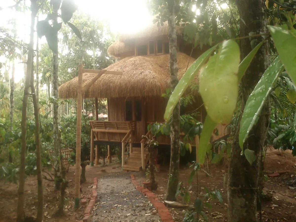 Wayanad Coffee Mist Resort Ambalavayal 2*,  Indie